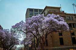 2014 Pretoria (Zuid-Afrika)