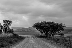 2014 Spioenkop Nature Reserve (Zuid-Afrika)