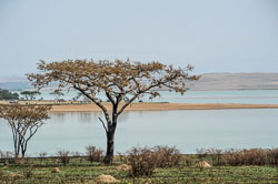 2014 Spioenkop Nature Reserve (Zuid-Afrika)