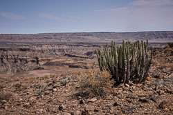 2016 Fish River Canyon (Namibië)