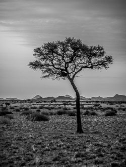 2016 Landschappen van Namibië