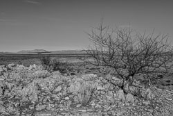 2016 Landschappen van Namibië