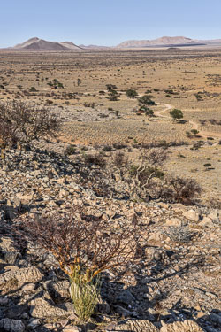 2016 Solitaire (Namibië) 