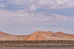 2016 Sossusvlei (Namibië) 