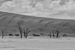 2016 Sossusvlei (Namibië) 