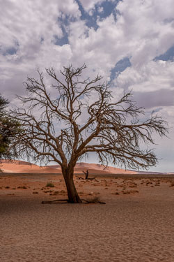 2016 Sossusvlei (Namibië) 