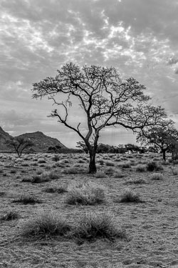 2016 Tiras Mountains (Namibië) 