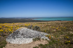 2016 Weskus National Park (Zuid-Afrika)