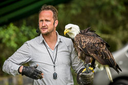 2017 Roofvogeltreffen (Zutendaal BE)