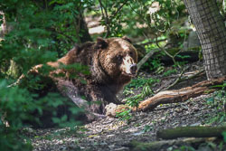 2022 Ouwehands Dierenpark