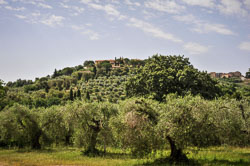 2016 Landschappen in Toscane (Italië)