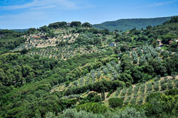 2016 Landschappen in Toscane (Italië)