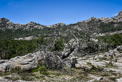 2019 Bavella (Corsica)