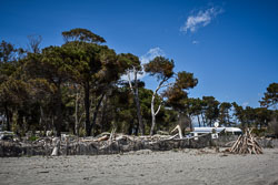 2019 Camping La Marina d'Aleria (Corsica)