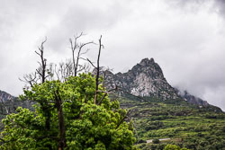 2019 Porto (Corsica)