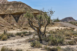 2023 Bardenas Reales - Navarra (Spanje)