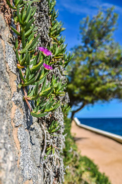 2024 Camí de Ronda de S'Agaró a Sa Conca (Spanje)