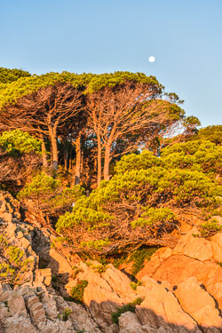 2024 Cami de Ronda (Spanje)