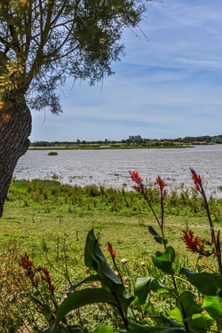 2024 El Rocio (Spanje)