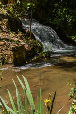 2024 Monasterio de Piedra (Nuevalos)