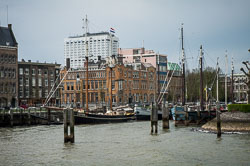 2008 Rotterdam 