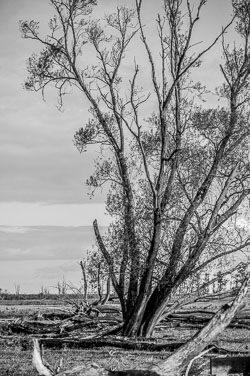 2012 Oost Vaardersplassen Flevoland