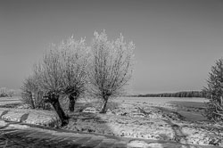 2012 Winter in de Krimpenerwaard