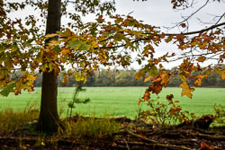 2019 Camping Drentsheerlijk in de herfst (Geesbrug Drenthe)