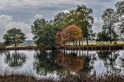 2020 Dwingelderveld (Drenthe)