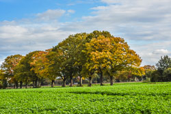 2020 Hengelo (Gelderland)