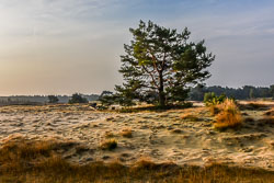 2020 Wekeromse Zand (Gelderland)