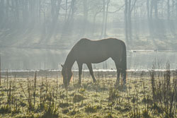 2021 Huijbergen