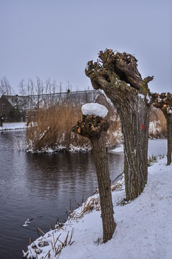 2021 Winter in de Krimpenerwaard