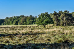 2022 Leggelderveld (Drenthe)