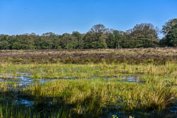 2022 Leggelderveld (Drenthe)