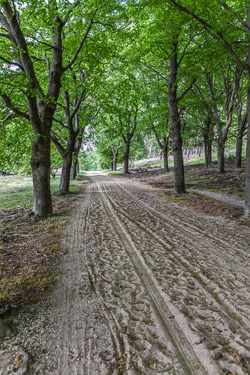 2022 Loenen (Gelderland)