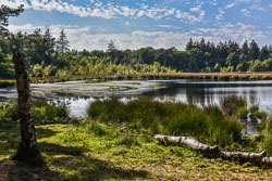 2022 Lunsveen (Drenthe)