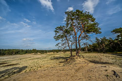 2022 Sahara Ommen (Overijssel)