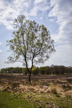 2023 Loenen (Camping Reeendal)