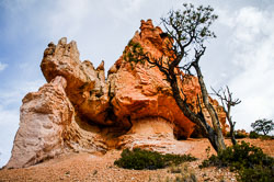 2007 Brice Canyon (Utah)