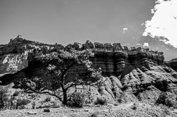 Capitol Reef (Utah)