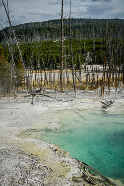 2007 Yellowstone (Wyomong)