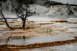 2007 Yellowstone (Wyomong)