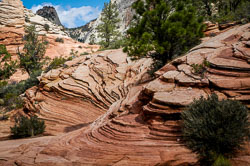 2007 Zion (Utah)