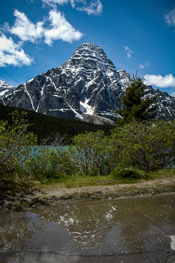 2008 Canada (Icefield Parkway)