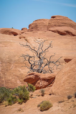 2009 Arches (Utah)