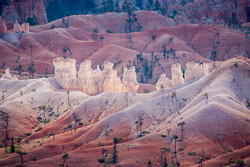 2009 Brice Canyon (Utah)