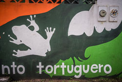 2010 Tortuguero