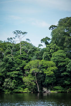 2010 Tortuguero