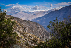 2017 Colca Canyon (Peru)